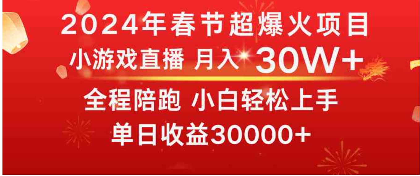 龙年2024过年期间，最爆火的项目抓住机会普通小白如何逆袭一个月收益30W+-大源资源网