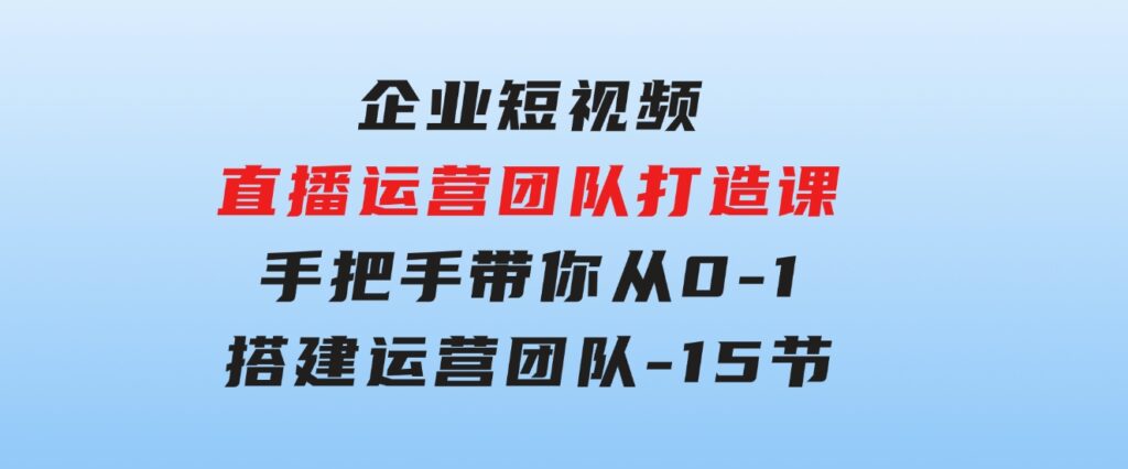 企业短视频-直播运营团队打造课，手把手带你从0-1搭建运营团队-15节-大源资源网