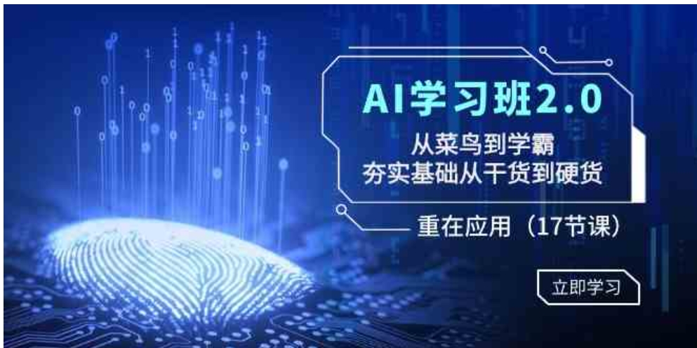 AI学习班2.0：从菜鸟到学霸，夯实基础从干货到硬货，重在应用-大源资源网