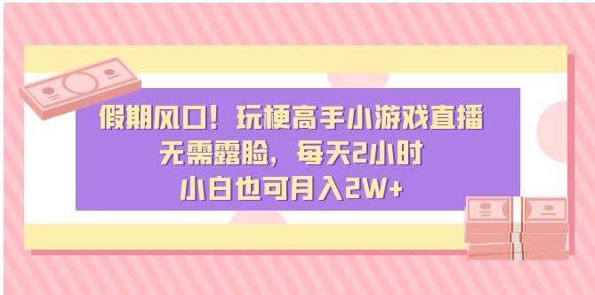 假期风口！玩梗高手小游戏直播，无需露脸，每天2小时，小白也可月入2W+-大源资源网