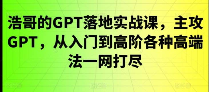 GPT落地实战课，主攻GPT，从入门到高阶各种高端法一网打尽-大源资源网