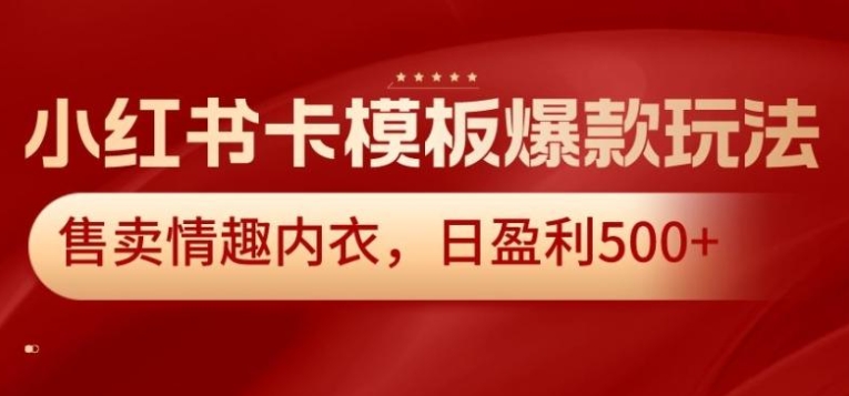 小红书卡模板爆款玩法，售卖情趣内衣，日盈利500+【揭秘】-大源资源网