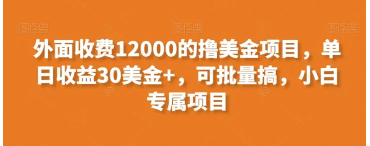 外面收费12000的撸美金项目，单日收益30美金+，可批量搞，小白专属项目-大源资源网