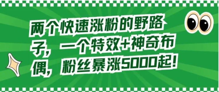 两个快速涨粉的野路子，一个特效+神奇布偶，粉丝暴涨5000起【揭秘】-大源资源网