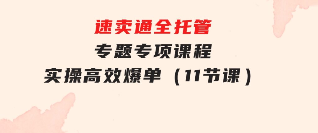 速卖通全托管专题专项课程，实操高效爆单（11节课）-大源资源网