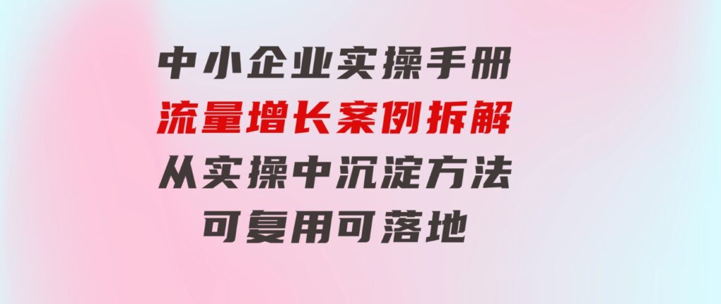 中小企业实操手册-流量增长案例拆解，从实操中沉淀方法，可复用可落地-大源资源网