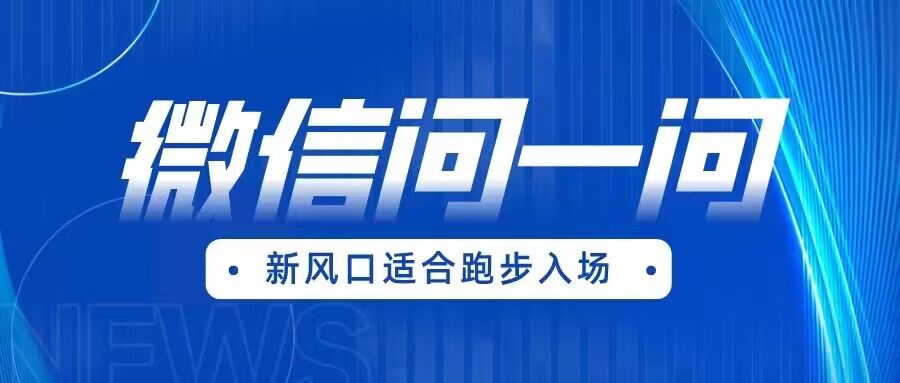 全网首发微信问一问新风口变现项目-大源资源网