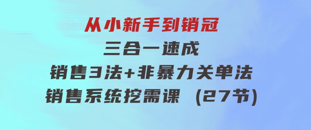 从小新手到销冠三合一速成：销售3法+非暴力关单法+销售系统挖需课(27节)-大源资源网