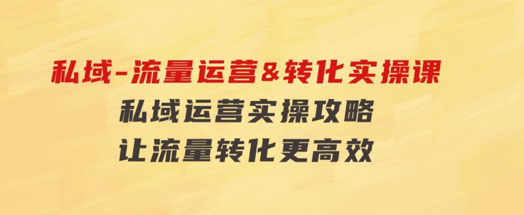 私域-流量运营&转化实操课：私域运营实操攻略让流量转化更高效-大源资源网