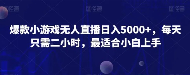 爆款小游戏无人直播日入5000+，每天只需二小时，最适合小白上手-大源资源网