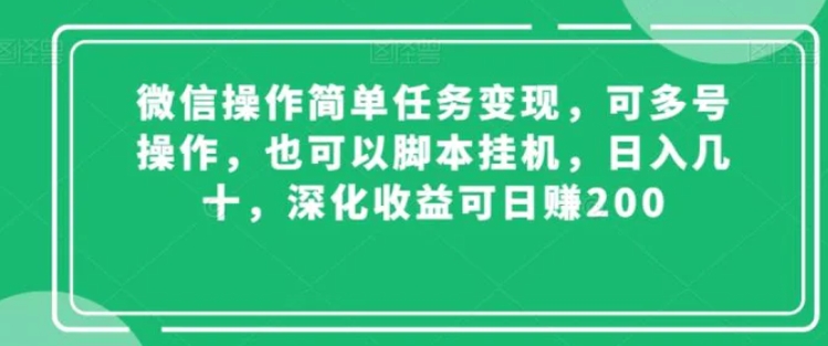 微信操作简单任务变现，可多号操作，也可以脚本挂机，日入几十，深化收益可日赚200【揭秘】-大源资源网