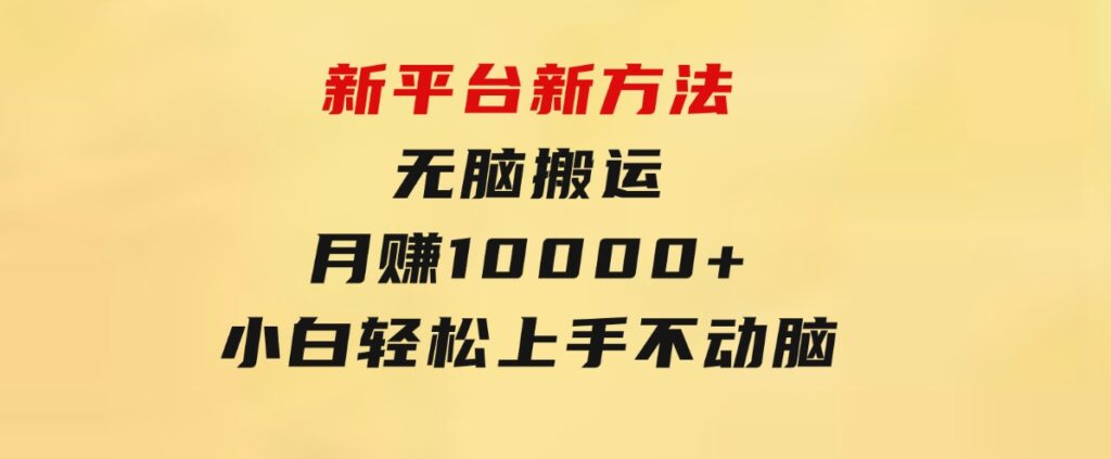 新平台新方法，无脑搬运，月赚10000+，小白轻松上手不动脑-大源资源网