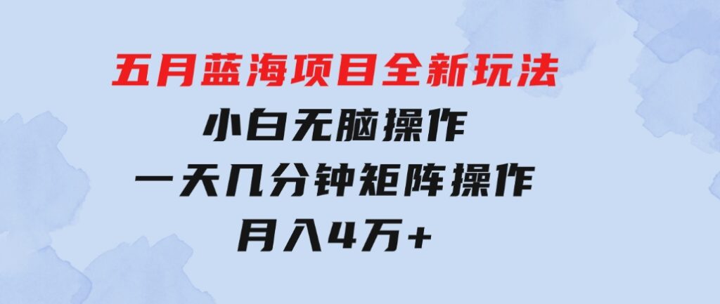 五月蓝海项目全新玩法，小白无脑操作，一天几分钟，矩阵操作，月入4万+-大源资源网