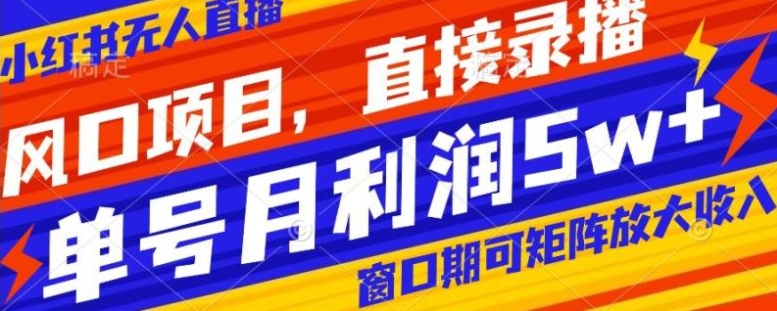 风口项目，小红书无人直播带货，直接录播，可矩阵，月入5w+【揭秘】-大源资源网