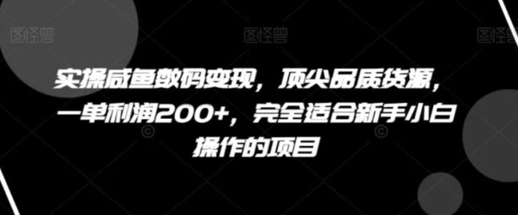 实操咸鱼数码变现，顶尖品质货源，一单利润200+，完全适合新手小白操作的项目【揭秘】-大源资源网