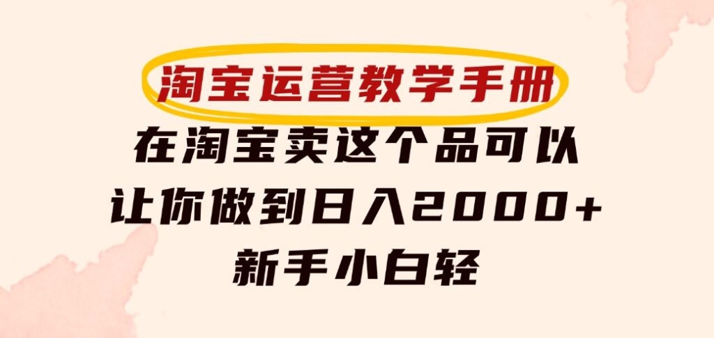 淘宝运营教学手册，在淘宝卖这个品可以让你做到日入2000+，新手小白轻-大源资源网