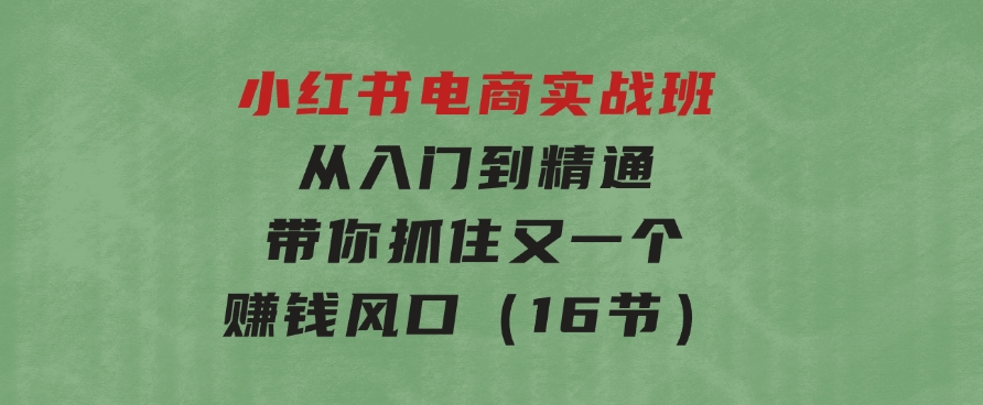 小红书电商实战班，从入门到精通，带你抓住又一个赚钱风口（16节）-大源资源网