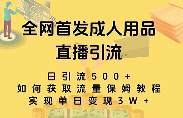 最新全网独创首发，成人用品直播引流获客暴力玩法，单日变现3w保姆级教程-大源资源网