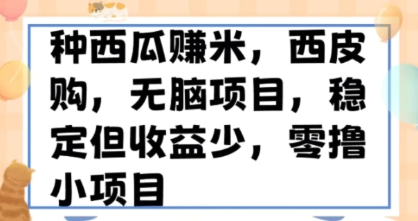 种西瓜赚米，西皮购稳定长久零撸小项目-大源资源网