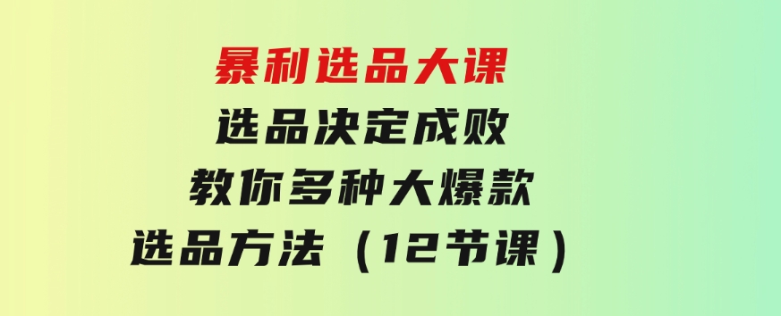 暴利选品大课：选品决定成败，教你多种大爆款选品方法（12节课）-大源资源网