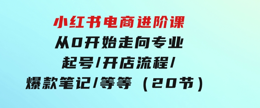 小红书电商进阶课：从0开始走向专业起号/开店流程/爆款笔记/等等（20节）-大源资源网