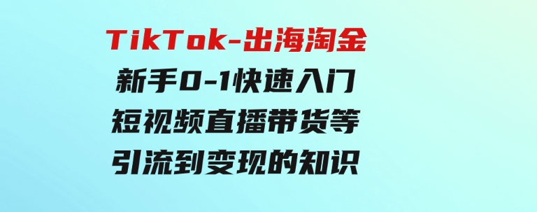 TikTok-出海淘金，新手0-1快速入门短视频直播带货等引流到变现的知识-大源资源网