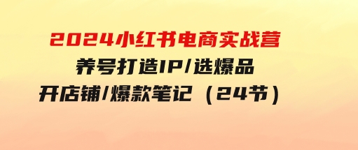 2024小红书电商实战营，养号打造IP/选爆品/开店铺/爆款笔记/等等（24节）-大源资源网