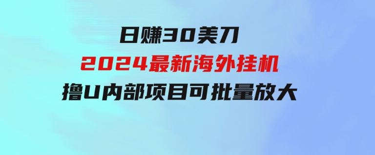 日赚30美刀，2024最新海外挂机撸U内部项目，全程无人值守，可批量放大-大源资源网