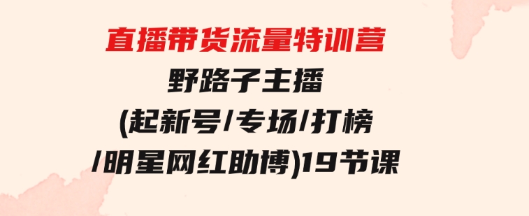 直播带货流量特训营，野路子主播(起新号/专场/打榜/明星网红助博)19节课-大源资源网