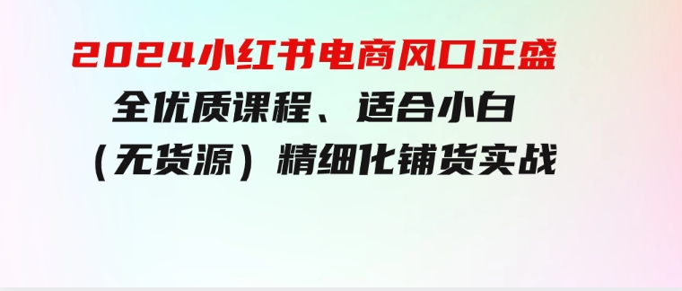 2024小红书电商风口正盛，全优质课程、适合小白（无货源）精细化铺货实战-大源资源网