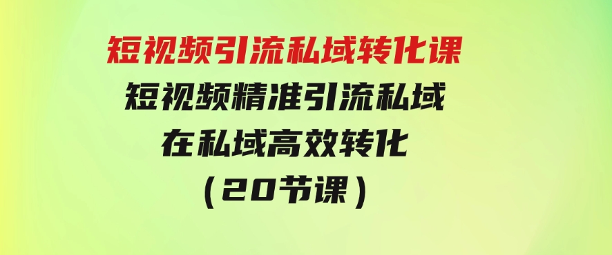 短视频引流私域转化课，短视频精准引流私域，在私域高效转化（20节课）-大源资源网