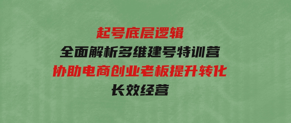 起号底层逻辑，全面解析多维建号特训营，协助电商创业老板提升转化，长效经营-大源资源网