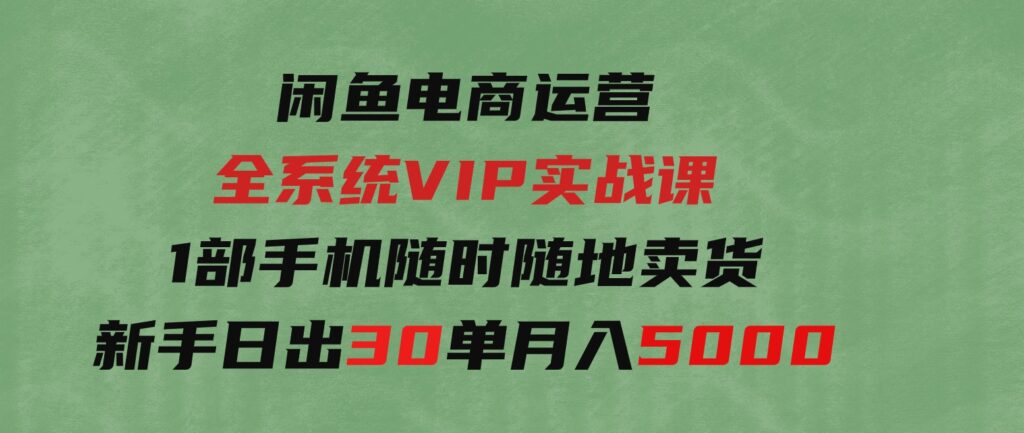 （9547期）闲鱼电商运营全系统VIP实战课，1部手机随时随地卖货，新手日出30单月入5000-大源资源网