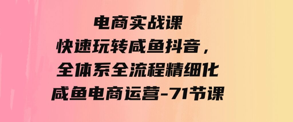 （9528期）电商实战课，快速玩转咸鱼抖音，全体系全流程精细化咸鱼电商运营-71节课-大源资源网