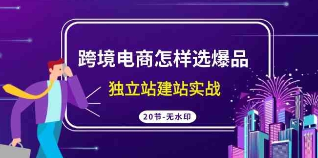 （9369期）跨境电商怎样选爆品，独立站建站实战（20节高清无水印课）-大源资源网