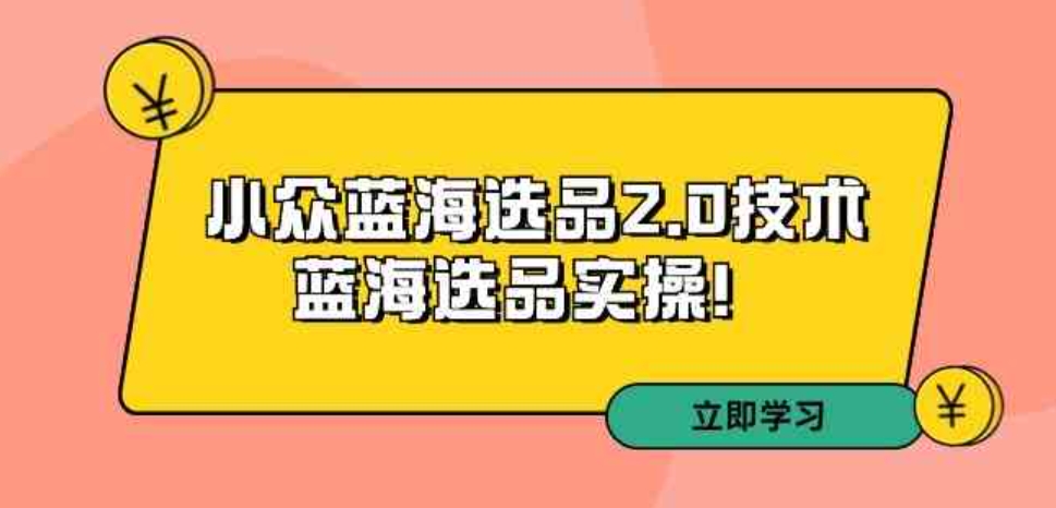 （9189期）拼多多培训第33期：小众蓝海选品2.0技术-蓝海选品实操！-大源资源网