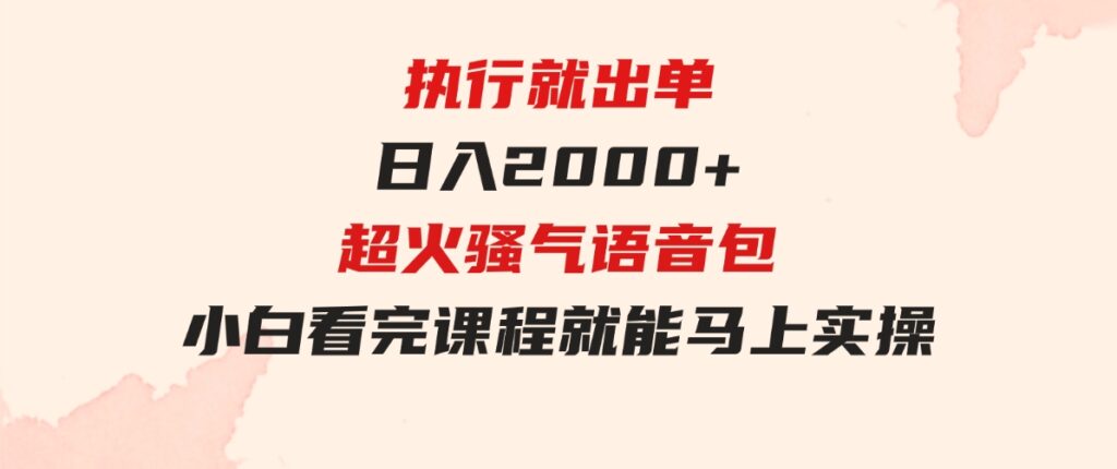 （9589期）执行就出单，日入2000+，超火骚气语音包，小白看完课程就能马上实操-大源资源网